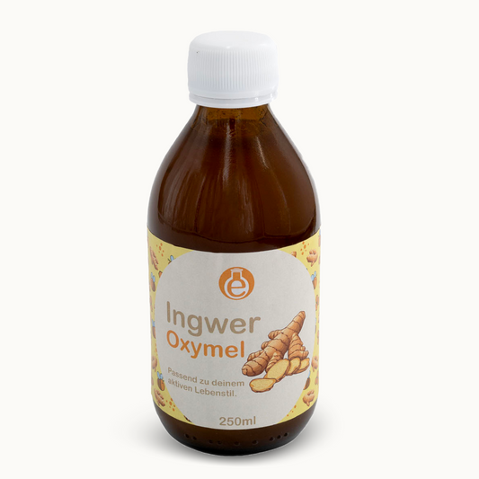 Ingwer Oxymel
